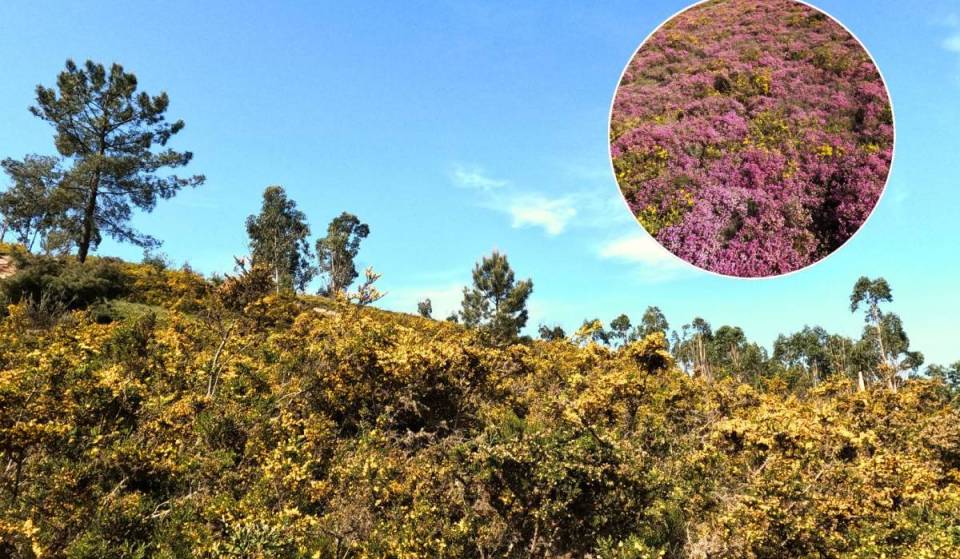 About 20 minutes from Porto, there is a park spanning nearly 6,000 hectares with Roman gold mines hidden in the mountains