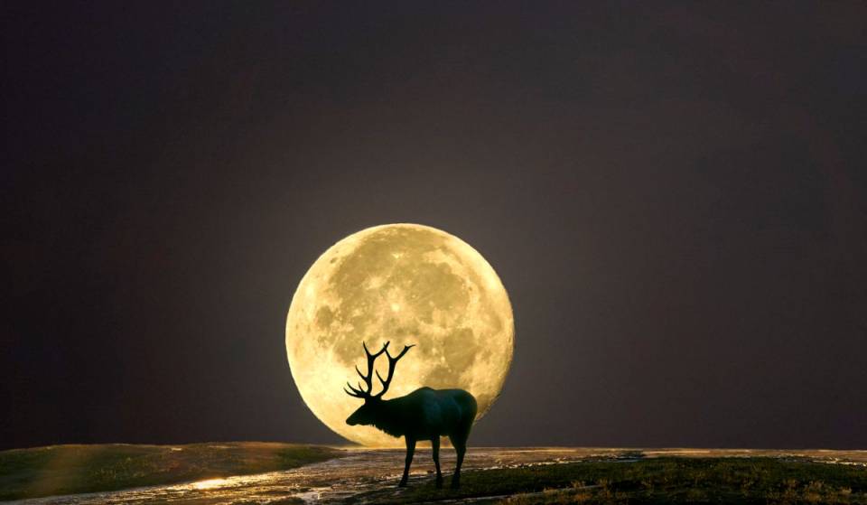 La pleine lune du cerf va briller et éblouir le ciel de Porto – et on te dit tout