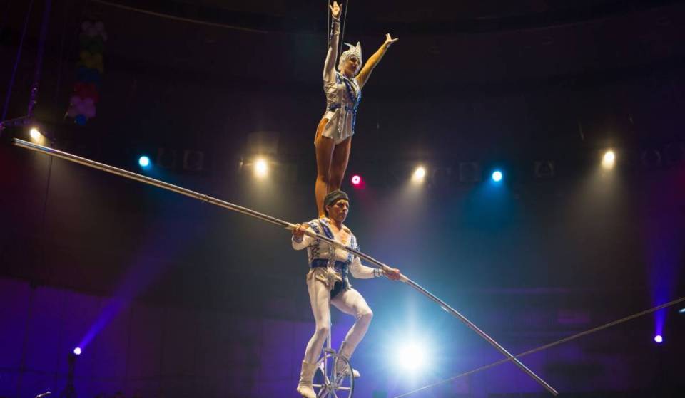 Adeus Arcozelo: o célebre festival de circo CÚPULA muda-se para o Cais de Gaia com dezenas de espetáculos e entrada totalmente gratuita