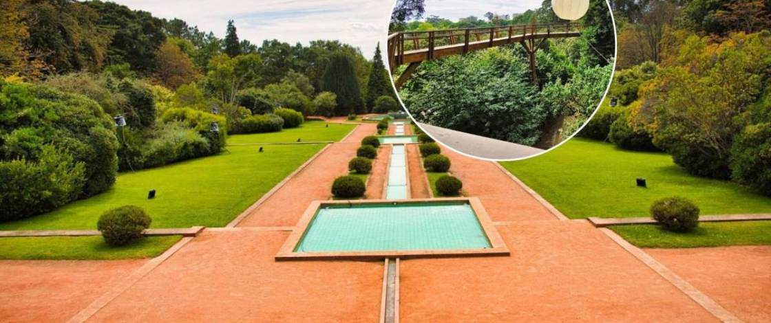 A joia escondida do Porto: um passadiço para caminhar ao nível das árvores num parque que é Monumento Nacional