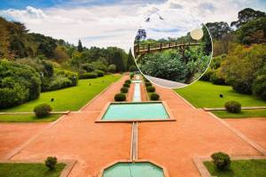 A joia escondida do Porto: um passadiço para caminhar ao nível das árvores num parque que é Monumento Nacional