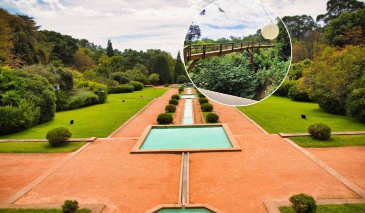 A joia escondida do Porto: um passadiço para caminhar ao nível das árvores num parque que é Monumento Nacional