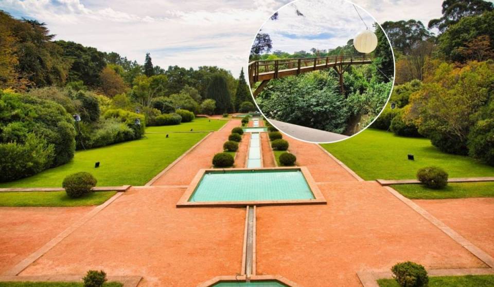 Le joyau caché de Porto : une passerelle pour marcher à la hauteur des arbres dans un parc classé Monument national