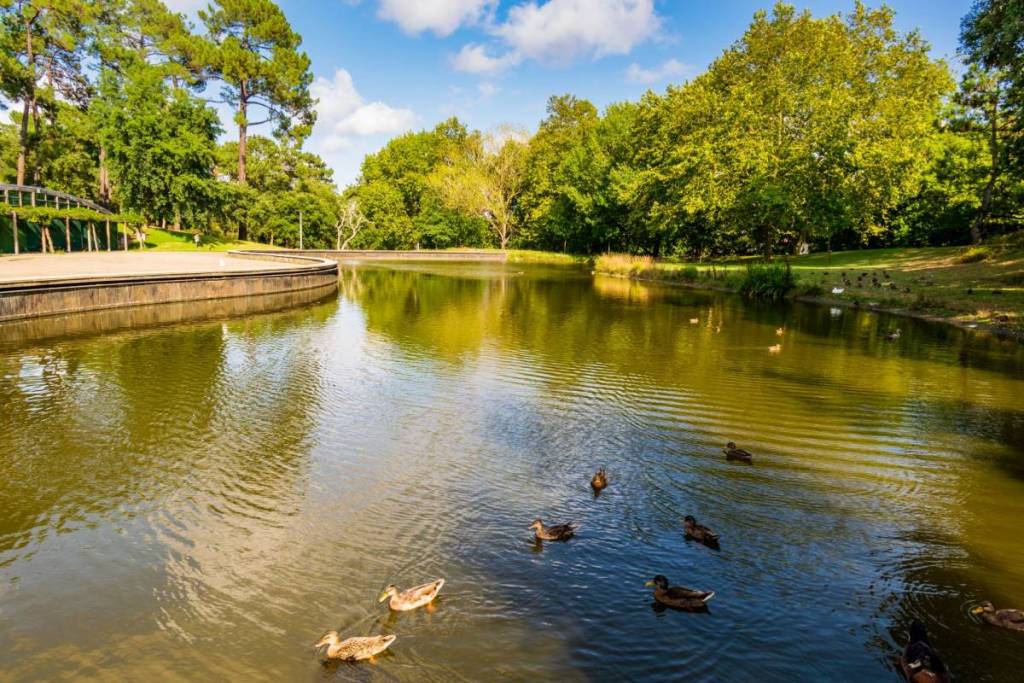 El parque da Pasteleira acoge la última edición de «Vizinhanças»