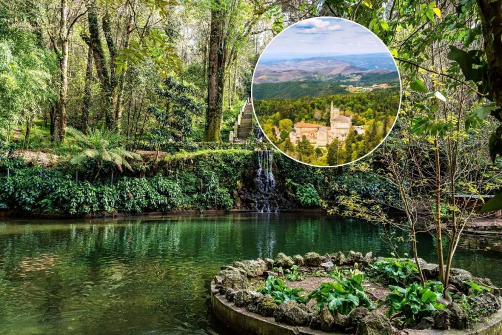 mata nacional do bussaco é monumento nacional e floresta terapêutica