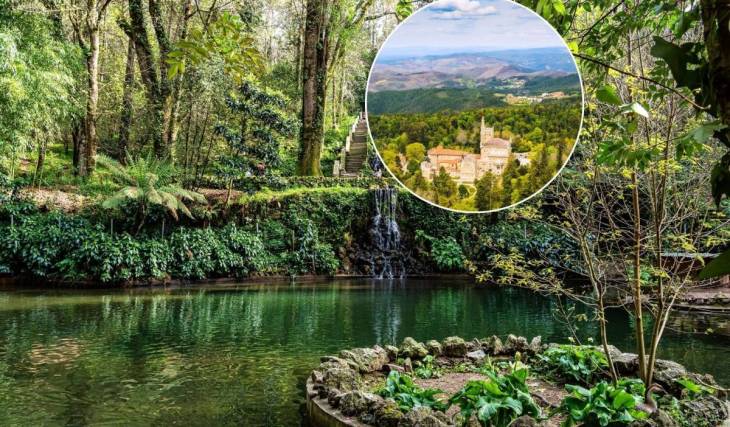 A menos de 1h30 do Porto, descobre a quarta floresta terapêutica do mundo e a primeira da Península Ibérica: um conto de fadas que é também Monumento Nacional