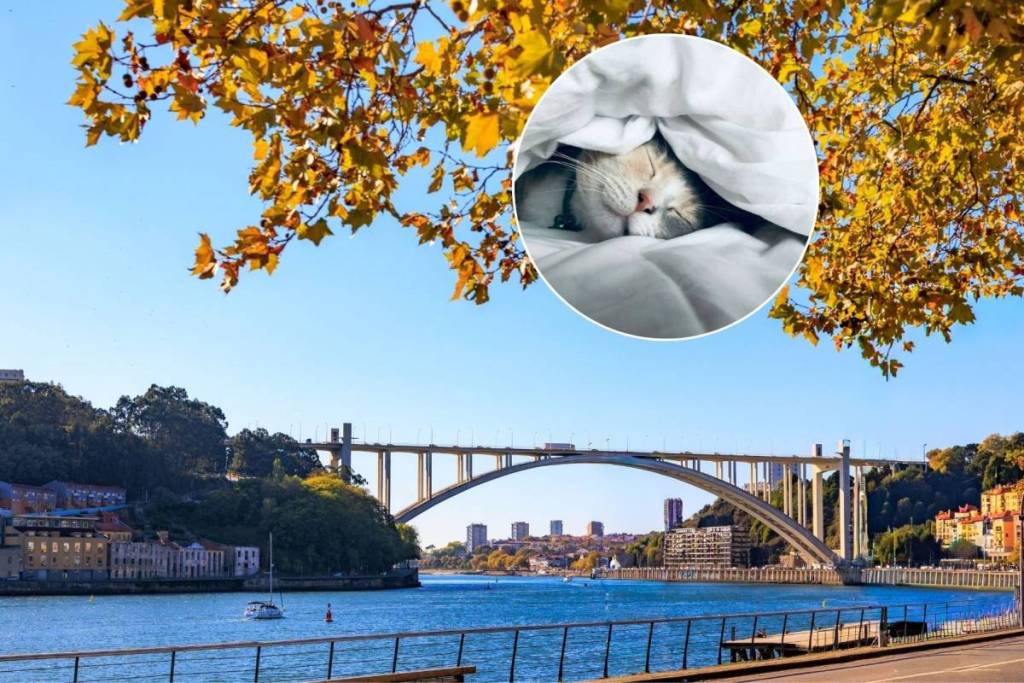 Con el horario de invierno en Oporto, la rutina cambia