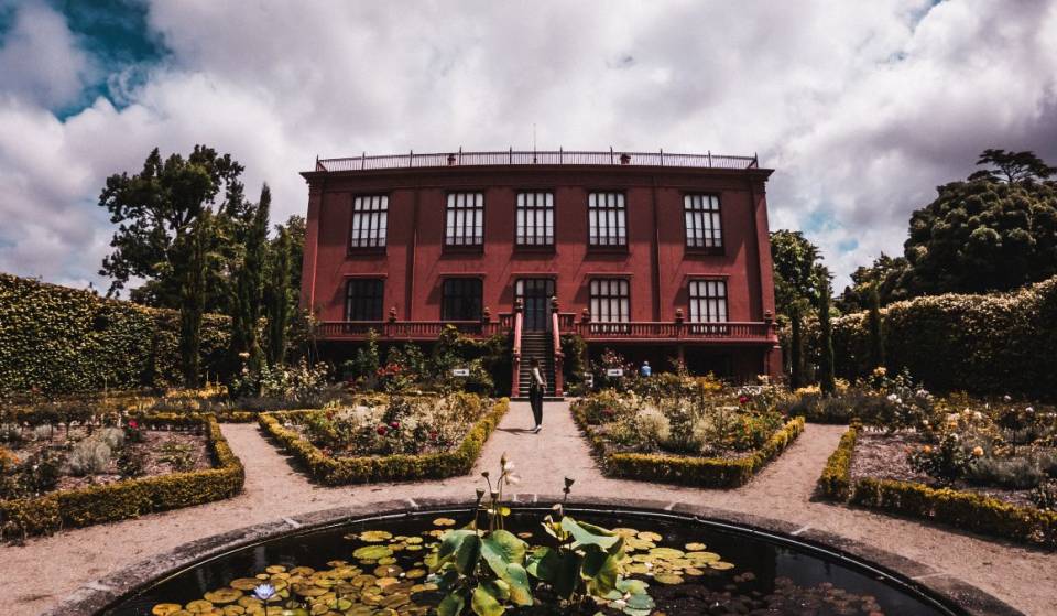 Las Jornadas Europeas del Patrimonio llevan a los visitantes al Museo de Anatomía, a la Rectoría y al universo artístico del Dragón