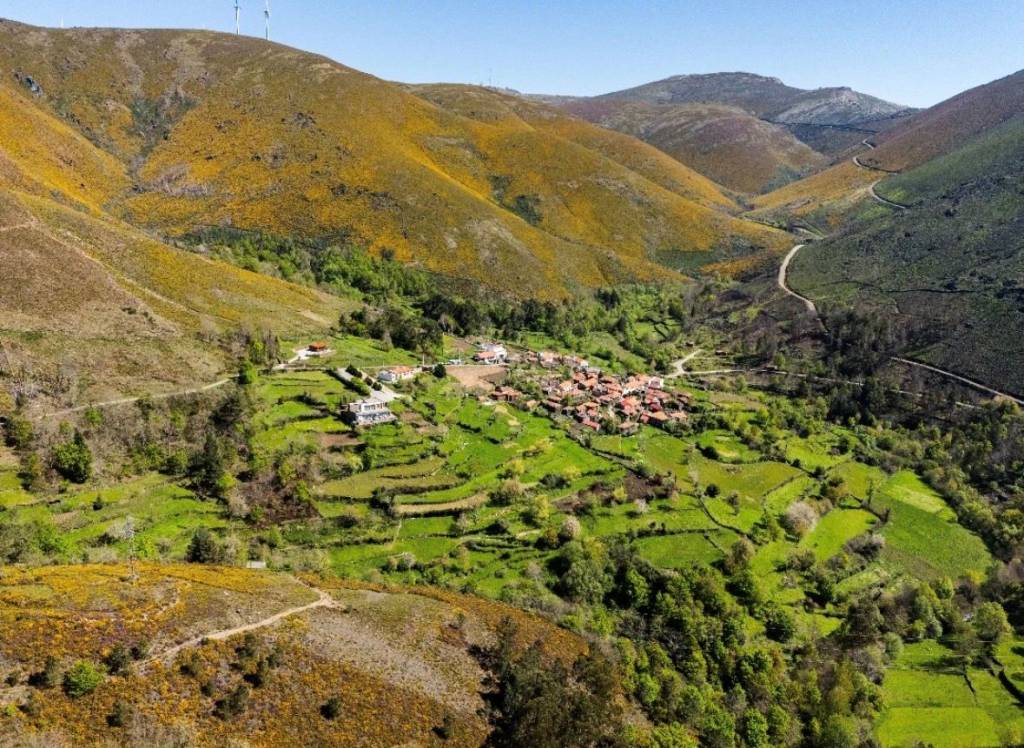 Mafómedes