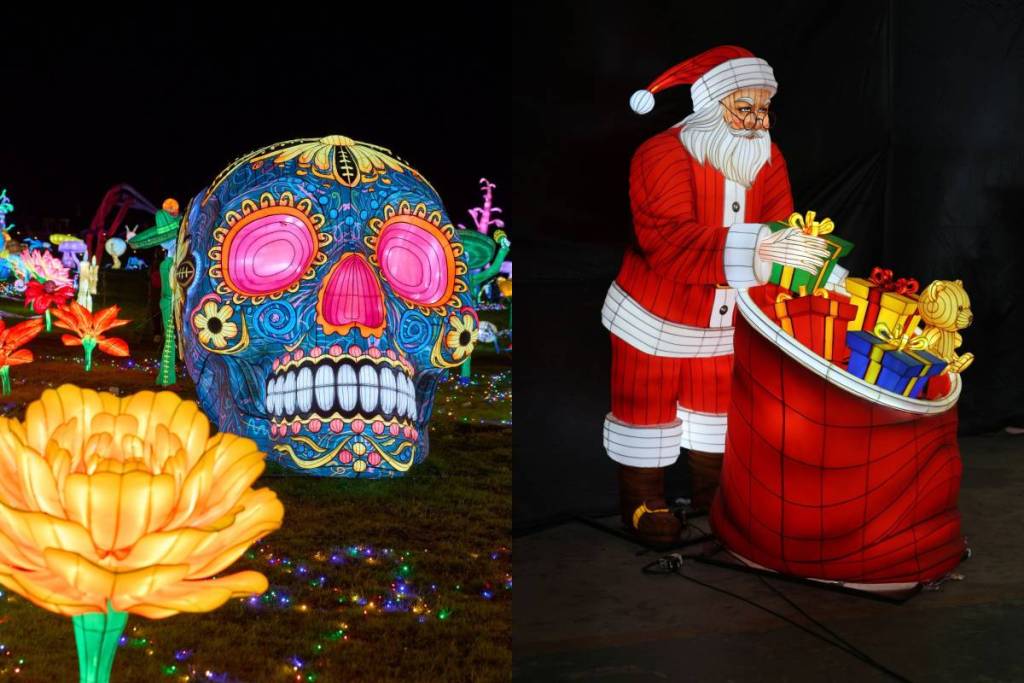 La 5.ª edición de «Luces Selvagens» vuelve al zoo de Santo Inácio, justo al lado del puerto