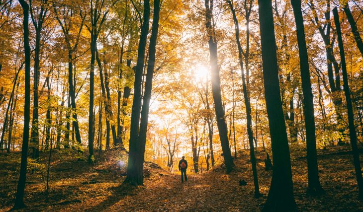 5 randonnées incontournables à faire cet automne au Québec