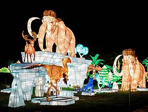 5 Reasons To Visit The Winter Lantern Festival Before It Closes