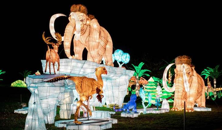 5 Reasons To Visit The Winter Lantern Festival Before It Closes