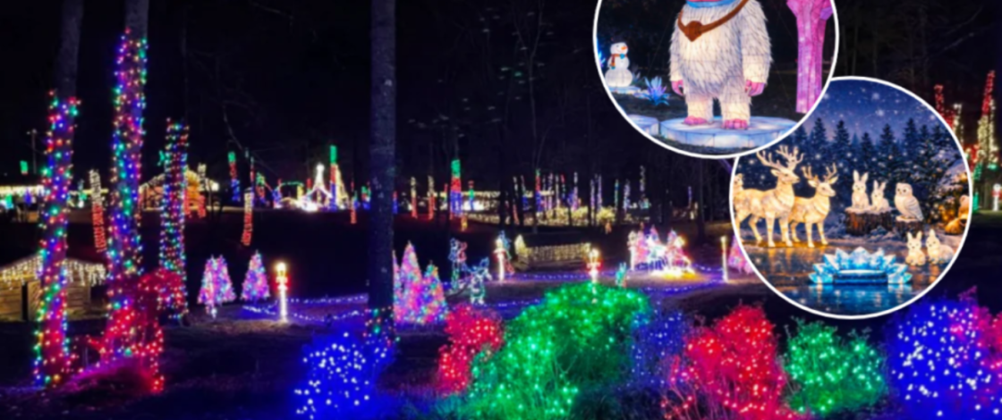 This stunning festival just 1 hour from Richmond is not to be missed— see hundreds of glowing lanterns this holiday season