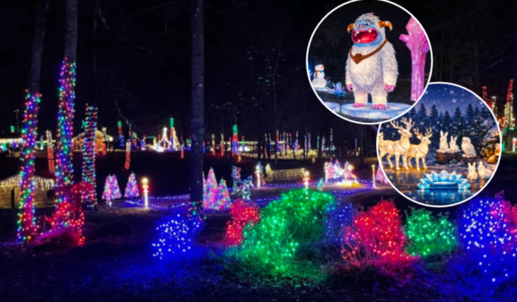 This stunning festival just 1 hour from Richmond is not to be missed— see hundreds of glowing lanterns this holiday season