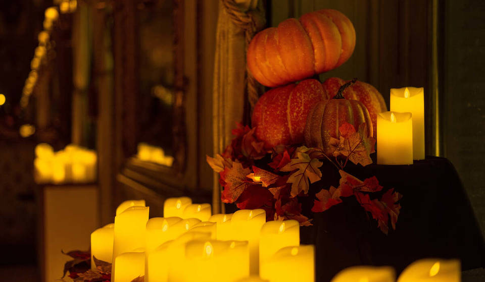 De Psicose a Thriller: uma noite repleta de clássicos de Halloween vai tomar conta do Rio em outubro