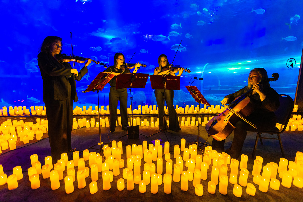 quarteto de cordas em um palco iluminado apenas por milhares de velas no Concerto Candlelight no AquaRio
