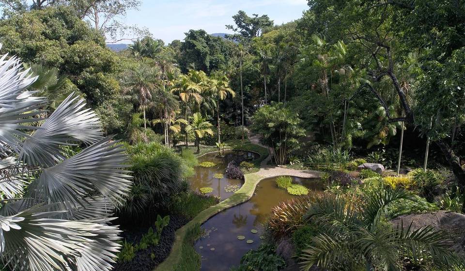 Más de 3000 plantas y mucho arte: este sitio histórico de Río de Janeiro está considerado un paraíso botánico y patrimonio mundial.