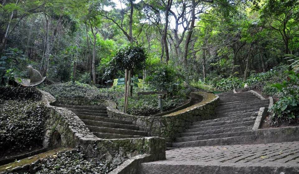 A trilha secreta de apenas 30 minutos no Rio de Janeiro que esconde uma das vistas mais deslumbrantes da Lagoa