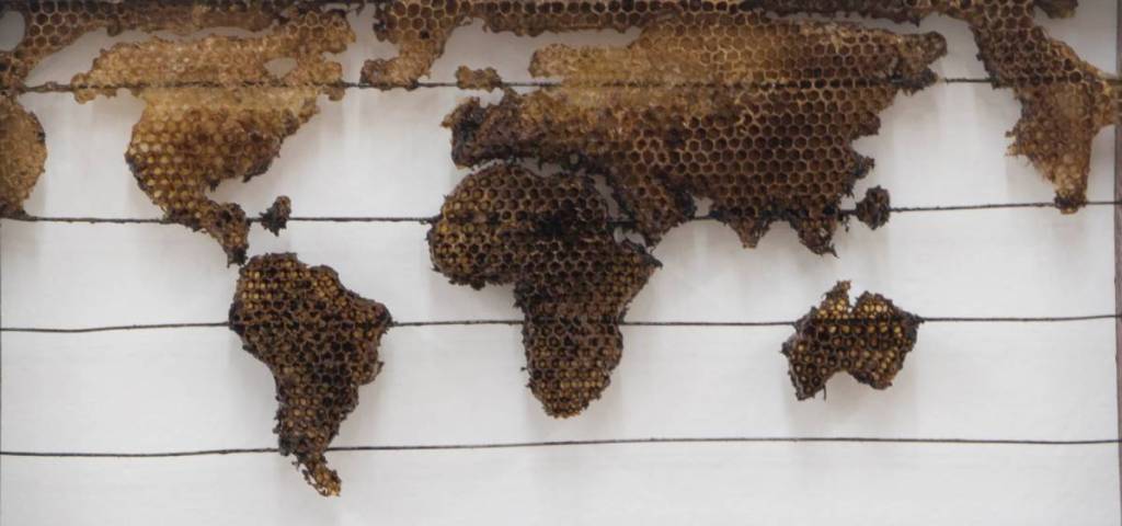 El Museo Histórico de la Ciudad presenta este mes una exposición inédita, con obras de arte hechas con miel, cera de abeja y propóleo. ¡La entrada es gratis!
