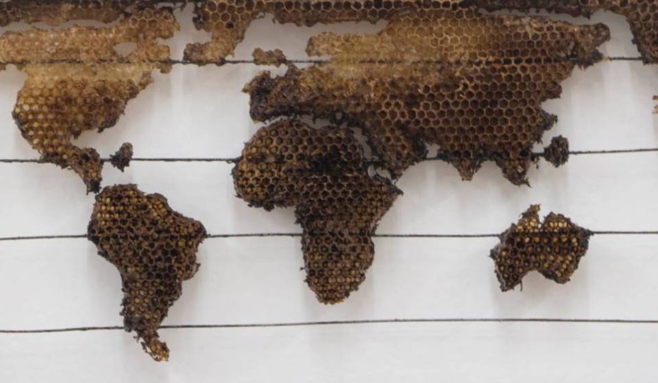 The City’s Historical Museum is presenting a unique exhibition this month, featuring works of art made from honey, beeswax, and propolis—admission is free!