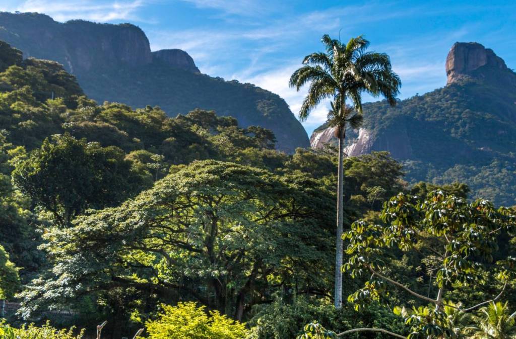 A Day in the Park in Rio de Janeiro This Weekend