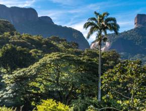Rio de Janeiro recebe ‘Um Dia no Parque’, com mais de 50 atividades gratuitas em parques e reservas ecológicas neste fim de semana