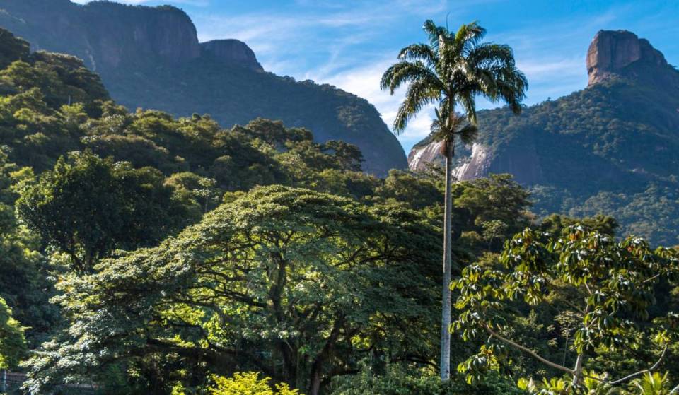 Río de Janeiro acoge «Un día en el parque», con más de 50 actividades gratuitas en parques y reservas ecológicas este fin de semana