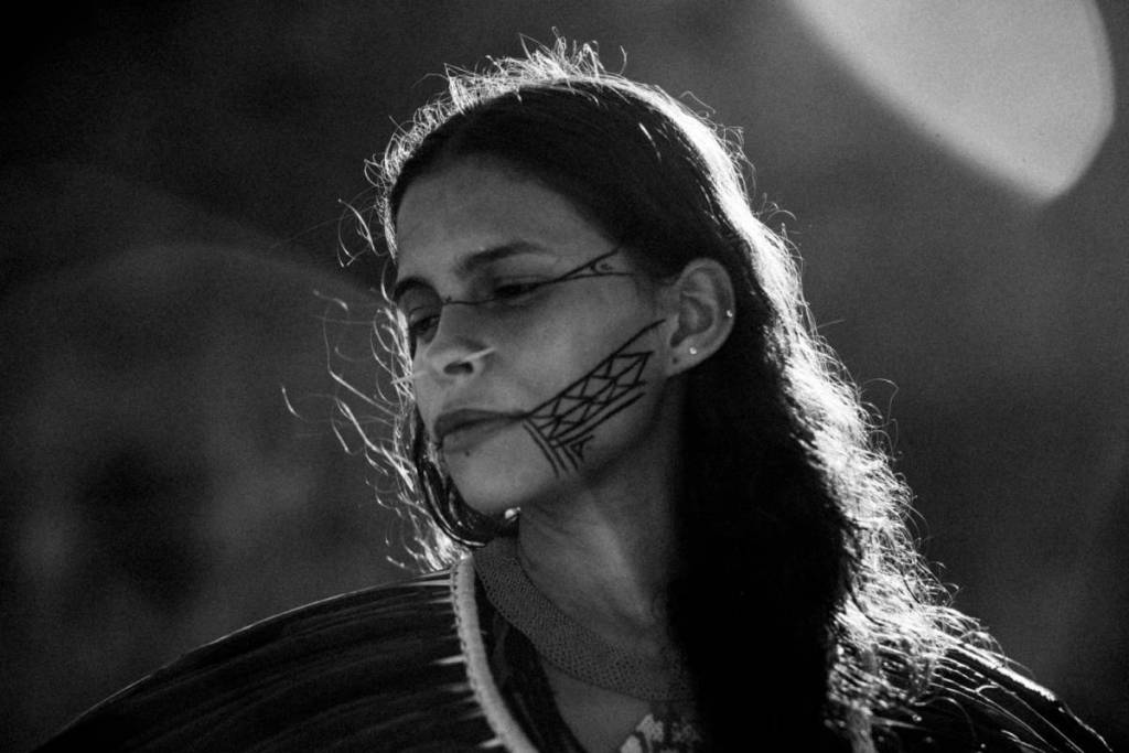 Rio de Janeiro and Niterói will host an environmental film festival in September, featuring free screenings of 60 Brazilian and international films