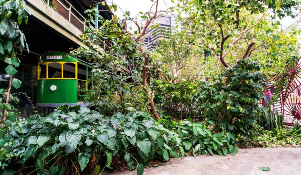Plante Rio celebrates its 10th anniversary at Fundição Progresso with exhibitions, a fair, workshops, and many cultural activities—free admission!