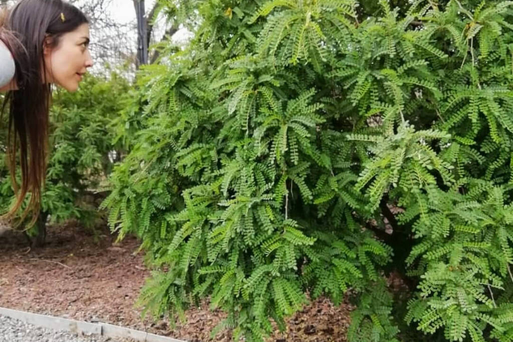 escapada al Parque Quilapilún