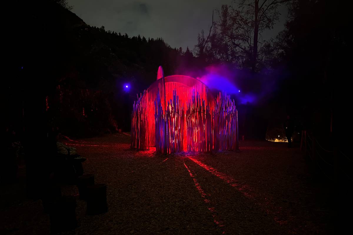 Light Cycles en Santiago