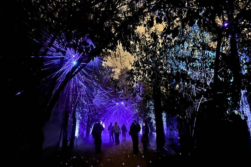 Light Cycles en Santiago