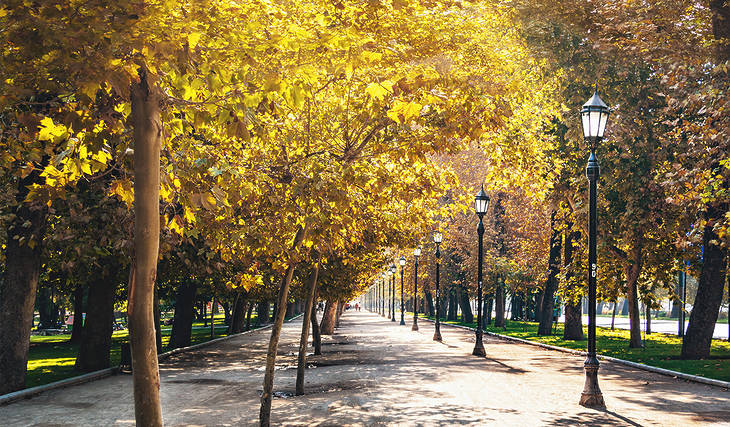 Descubre 10 parques urbanos imperdibles para disfrutar con la familia y amigos