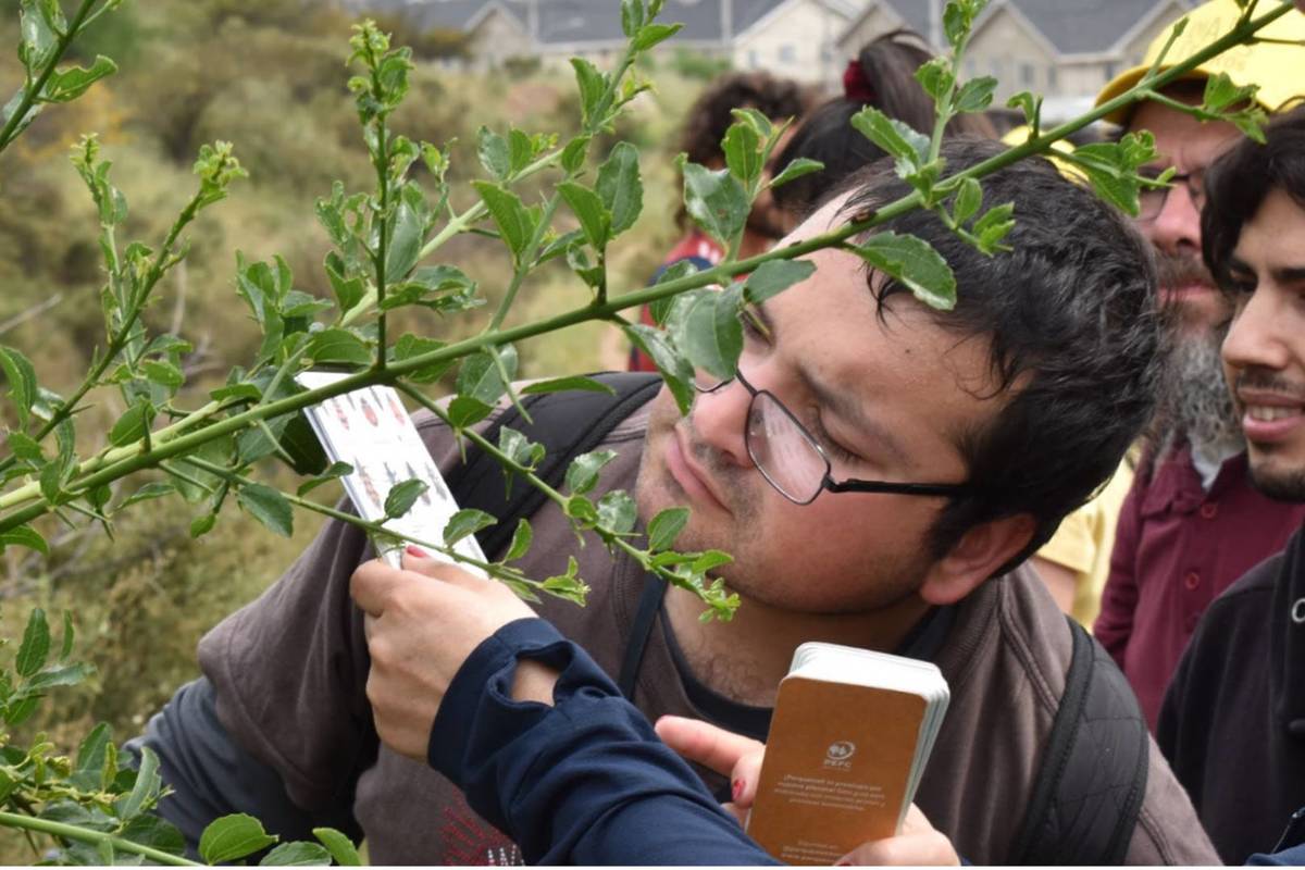 Día de los cerros 2025