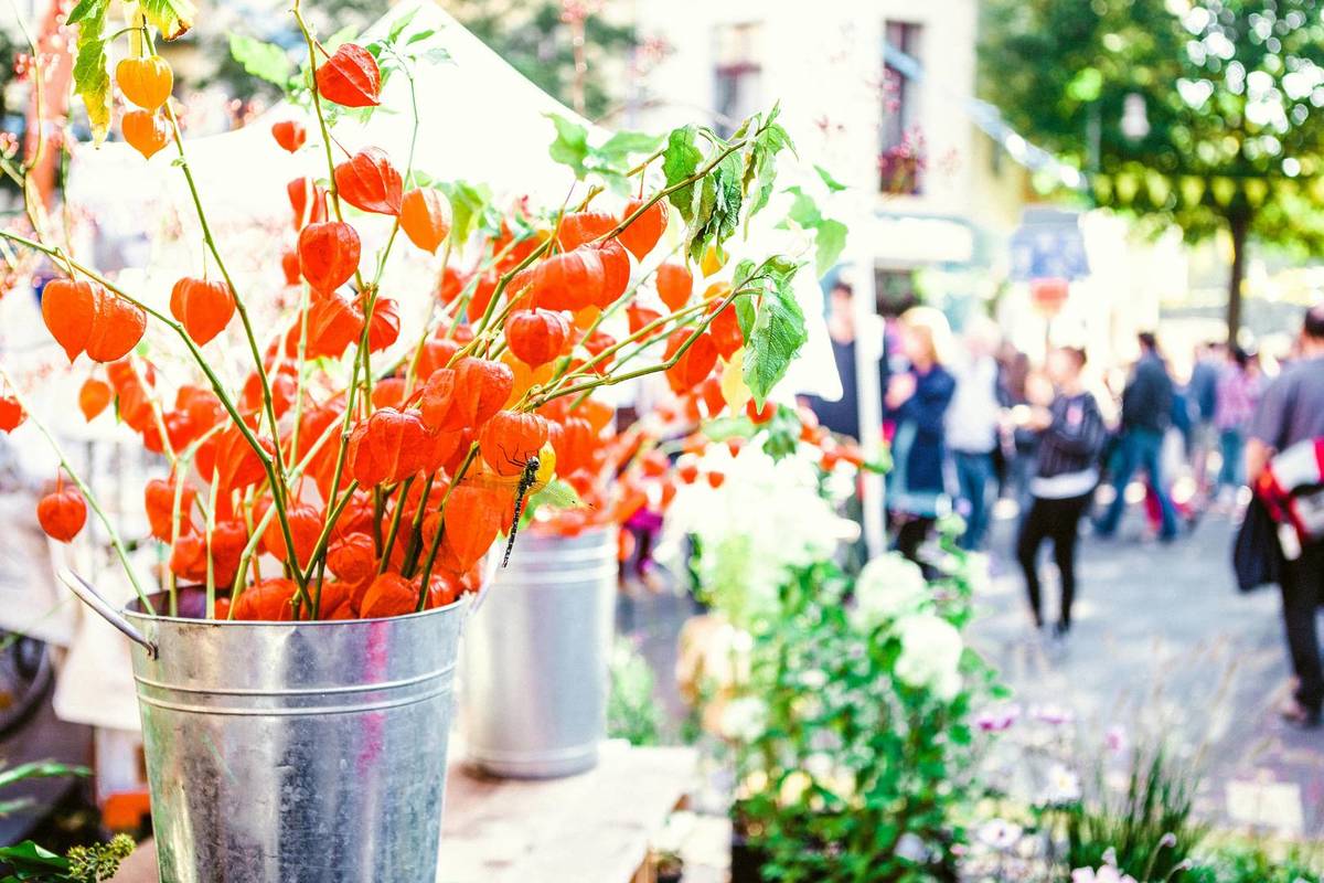 Mercado de Flores en Plaza de Armas