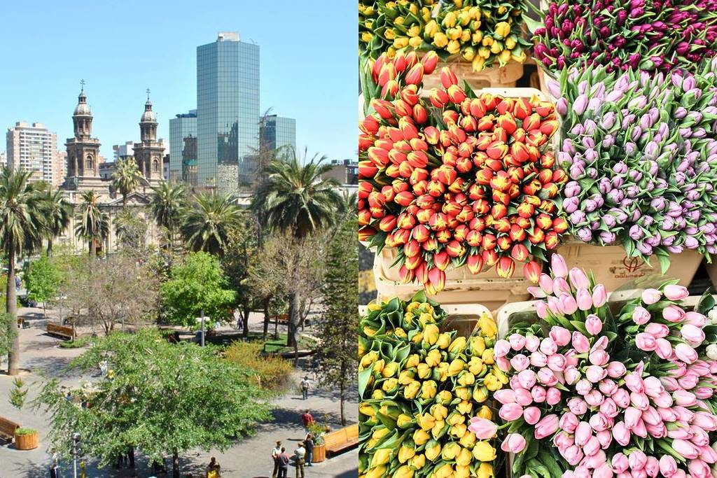 Mercado de Flores en Plaza de Armas