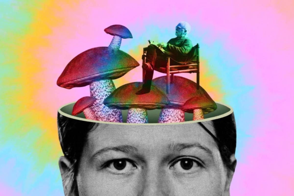 Noches Nerd psicodelia y consciencia