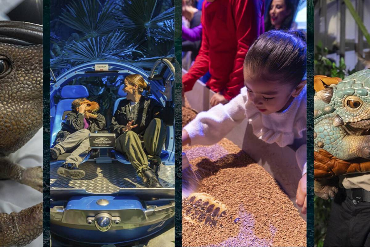 Jurassic World Cenco Florida