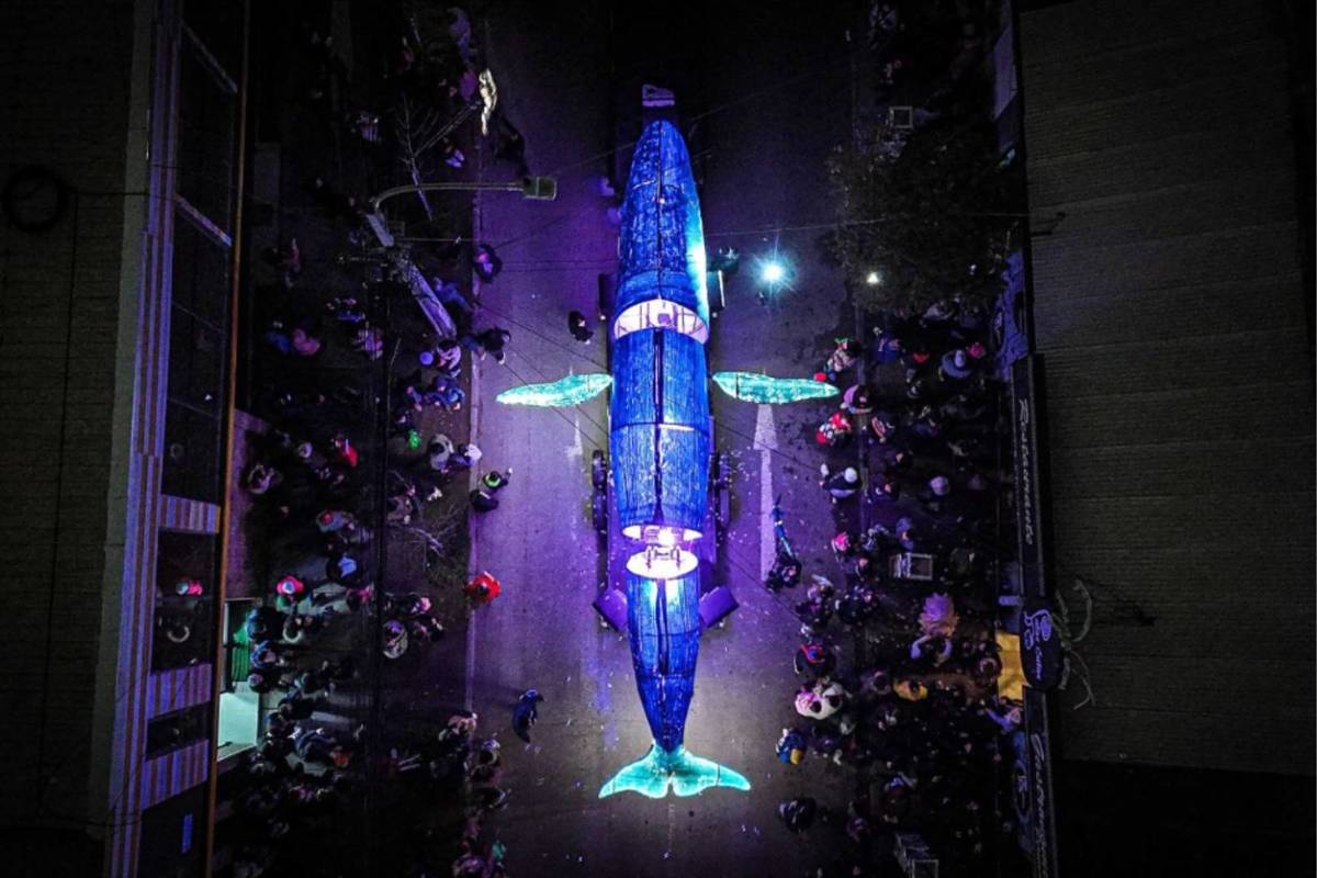 Festival Al Otro Lado