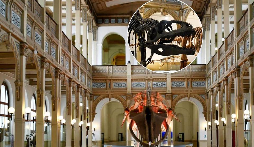 Día de los Patrimonios en Verano 2026 en el MNHN: ciencia, dinosaurios y patrimonio gratis en pleno Santiago este sábado 31 de enero