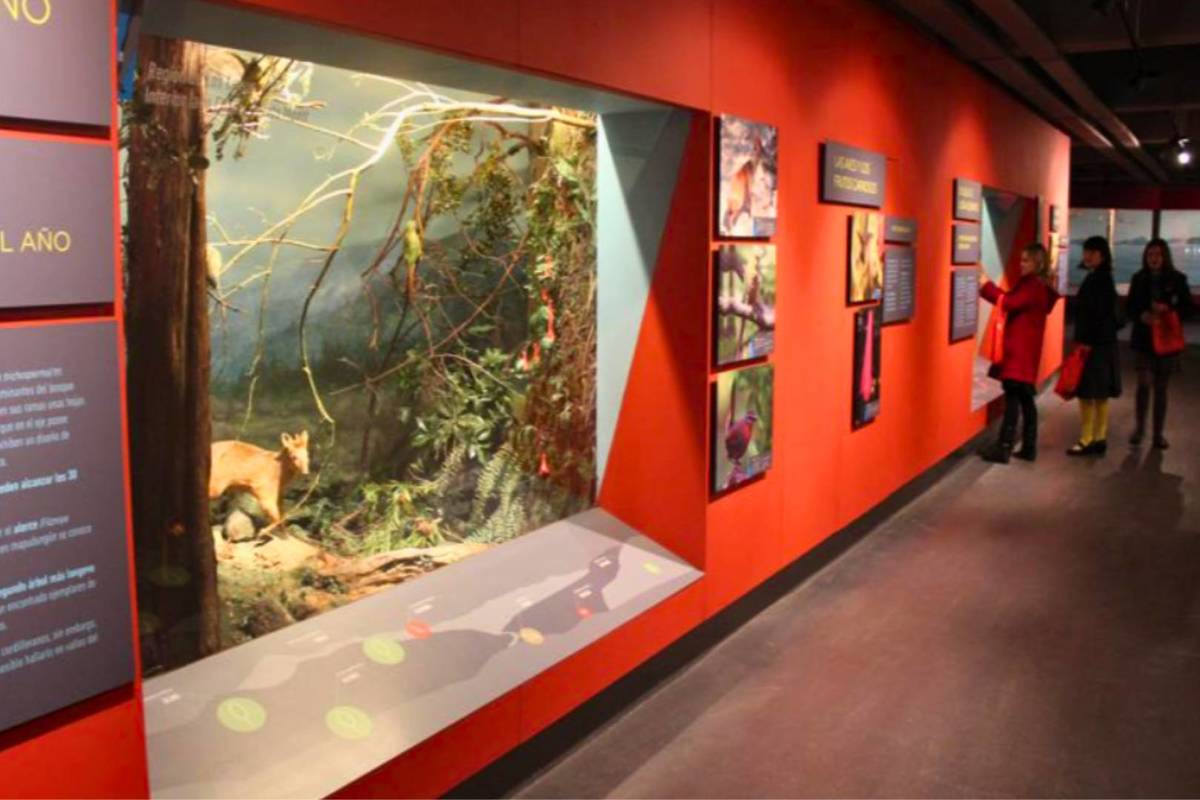 Día de los Patrimonios en Verano