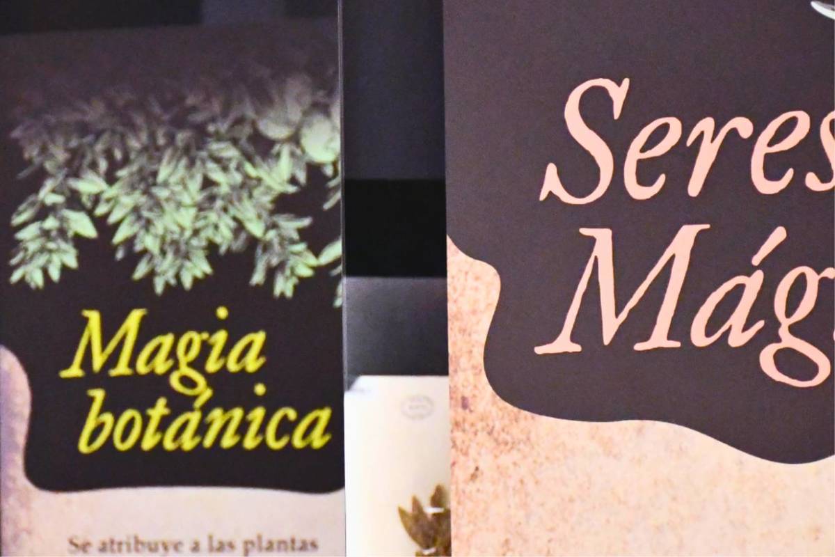 Día de los Patrimonios en Verano