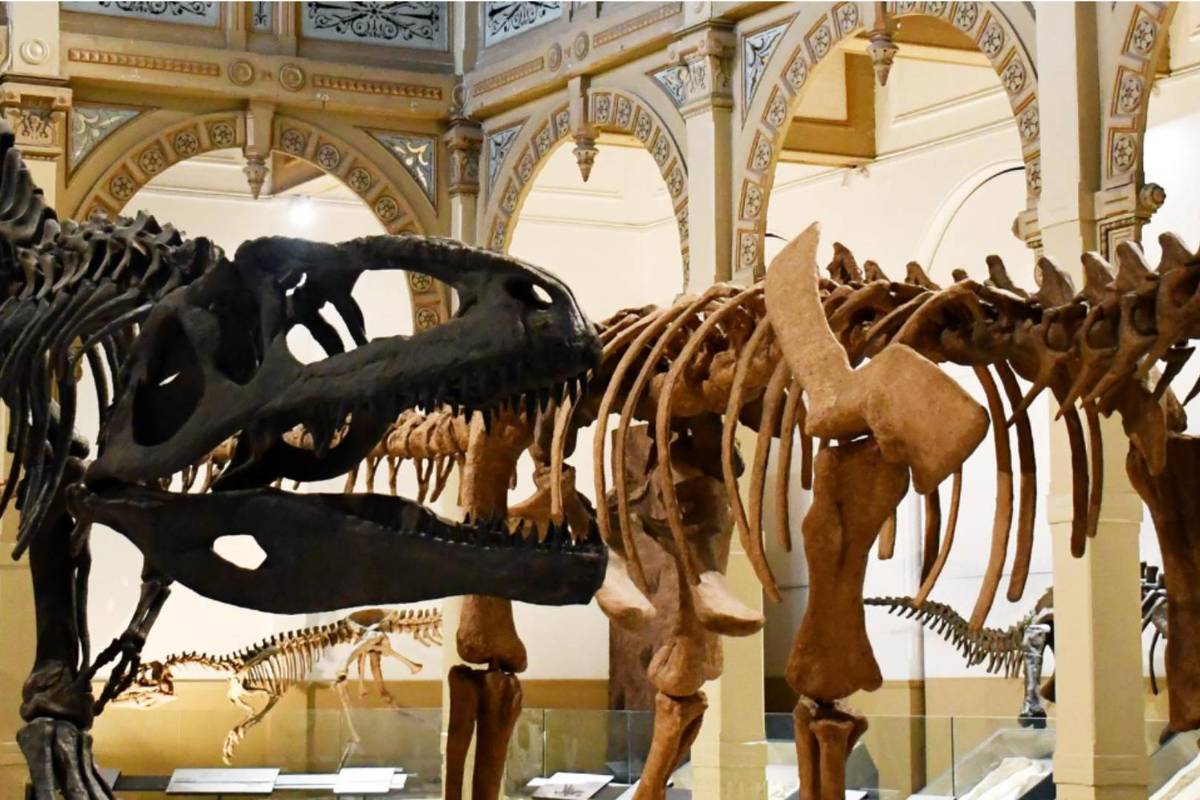 Día de los Patrimonios en Verano