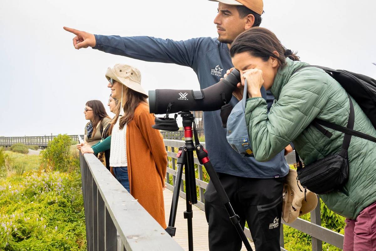 Verano en el Humedal Río Maipo