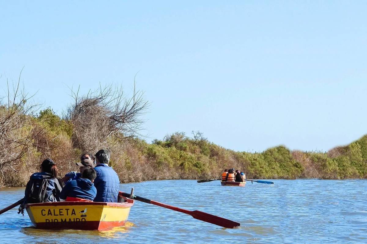 Verano en el Humedal Río Maipo