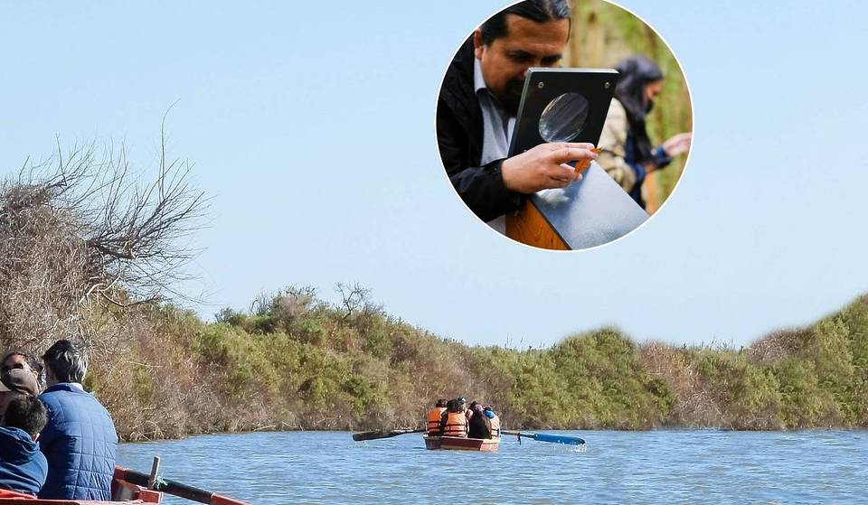 Verano en el Humedal Río Maipo: talleres, caminatas y experiencias familiares en la naturaleza a menos de 2 horas de Santiago