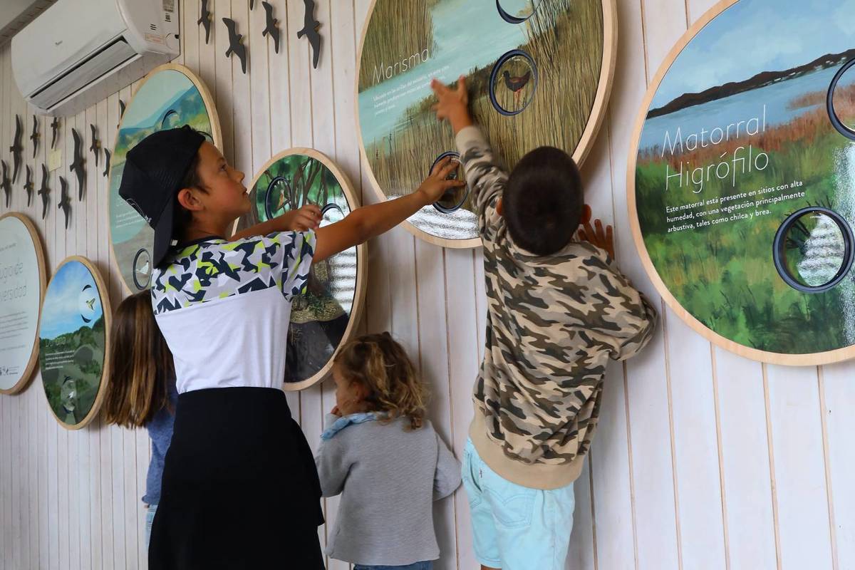 Verano en el Humedal Río Maipo