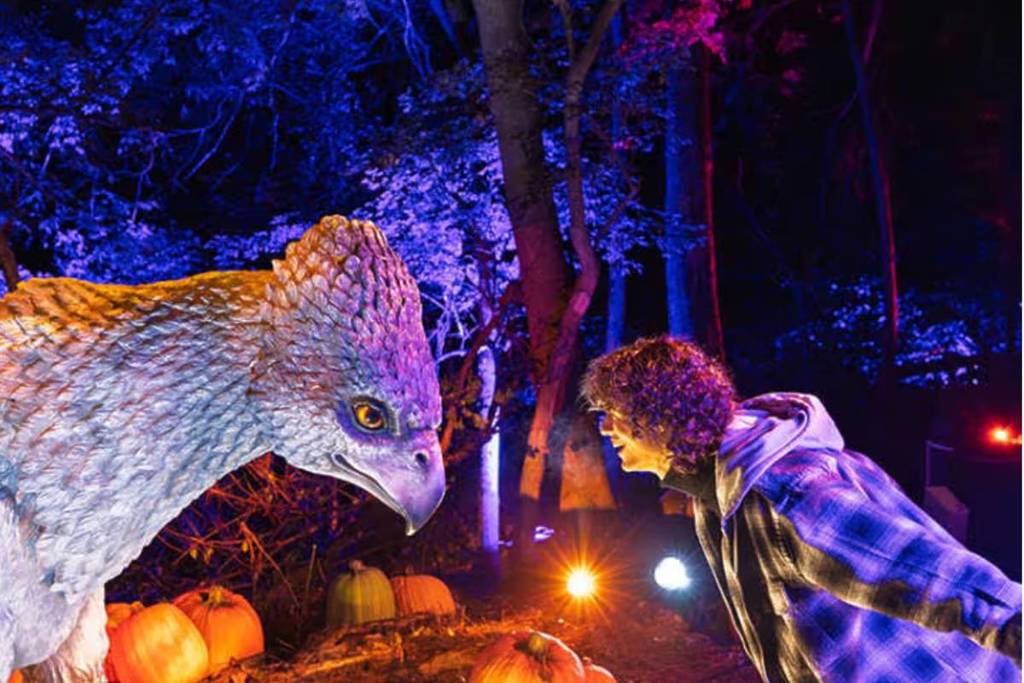 Harry Potter™: La Experiencia del Bosque Prohibido