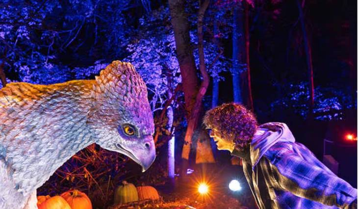 Harry Potter™: “La Experiencia del Bosque Prohibido” ¡Ya abrió sus puertas en Santiago con un recorrido nocturno desde abril en la Quinta Normal!